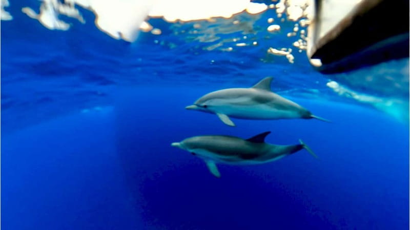 Naxos: Taormina Boat Tour with Snorkeling and Prosecco - Taormina cruise time: guided views plus a chance to cool down