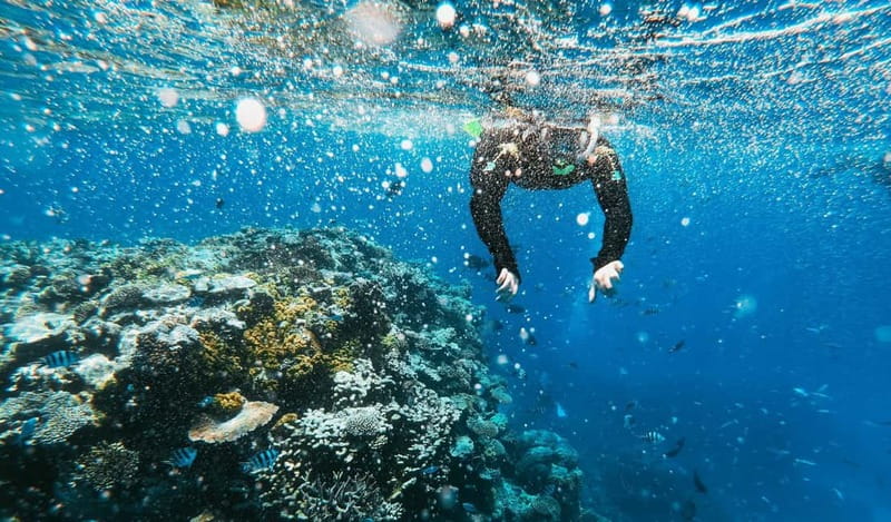 Naxos: Taormina Boat Tour with Snorkeling and Prosecco - White Lotus filming locations: when pop culture meets the coast