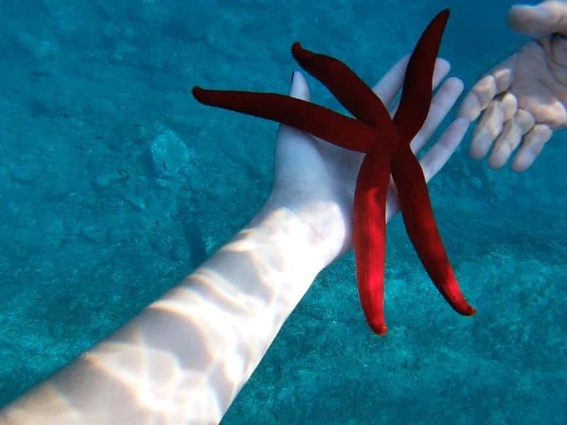 Naxos: Taormina Boat Tour with Snorkeling and Prosecco - Prosecco aperitivo and music: the party part of Taormina by boat