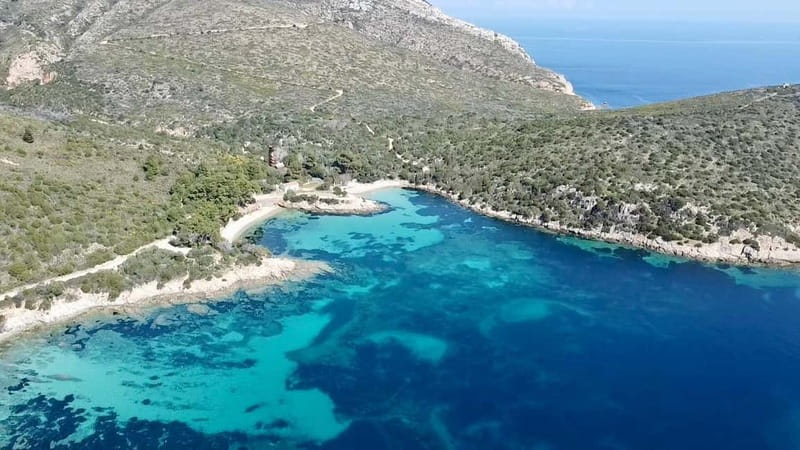 Olbia: Boat tour to watch Dolphins and snorkeling - Value check: why this works better than the giant-boat option