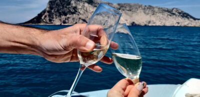 Olbia: Boat tour to watch Dolphins and snorkeling - The boat experience: 7-meter Pholas with serious Yamaha power