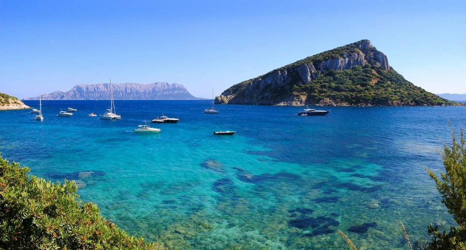 Olbia: Dolphin Watching and Snorkeling Boat Tour - Where the Tour Starts: Molo Bosazza, Right by Olbia’s Waterfront