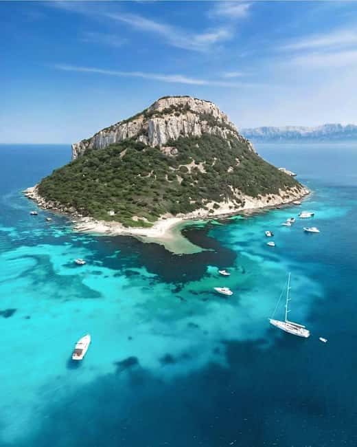 Olbia: Dolphin Watching & Snorkeling Boat Tour near Figarolo - Isola della Bocca and the short final cruise by the yacht area