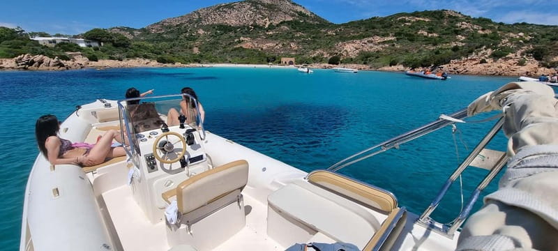 Olbia: Dolphin Watching & Swim and snorkel in Capo Figari - Key highlights at a glance