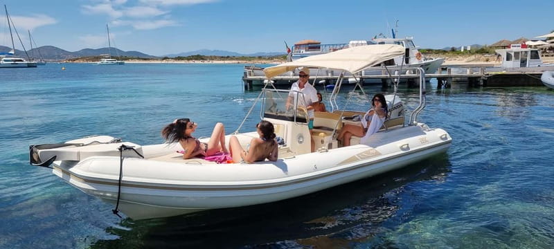 Olbia: Dolphin Watching & Swim and snorkel in Capo Figari - Olbia to Figarolo: how this dolphin tour really feels