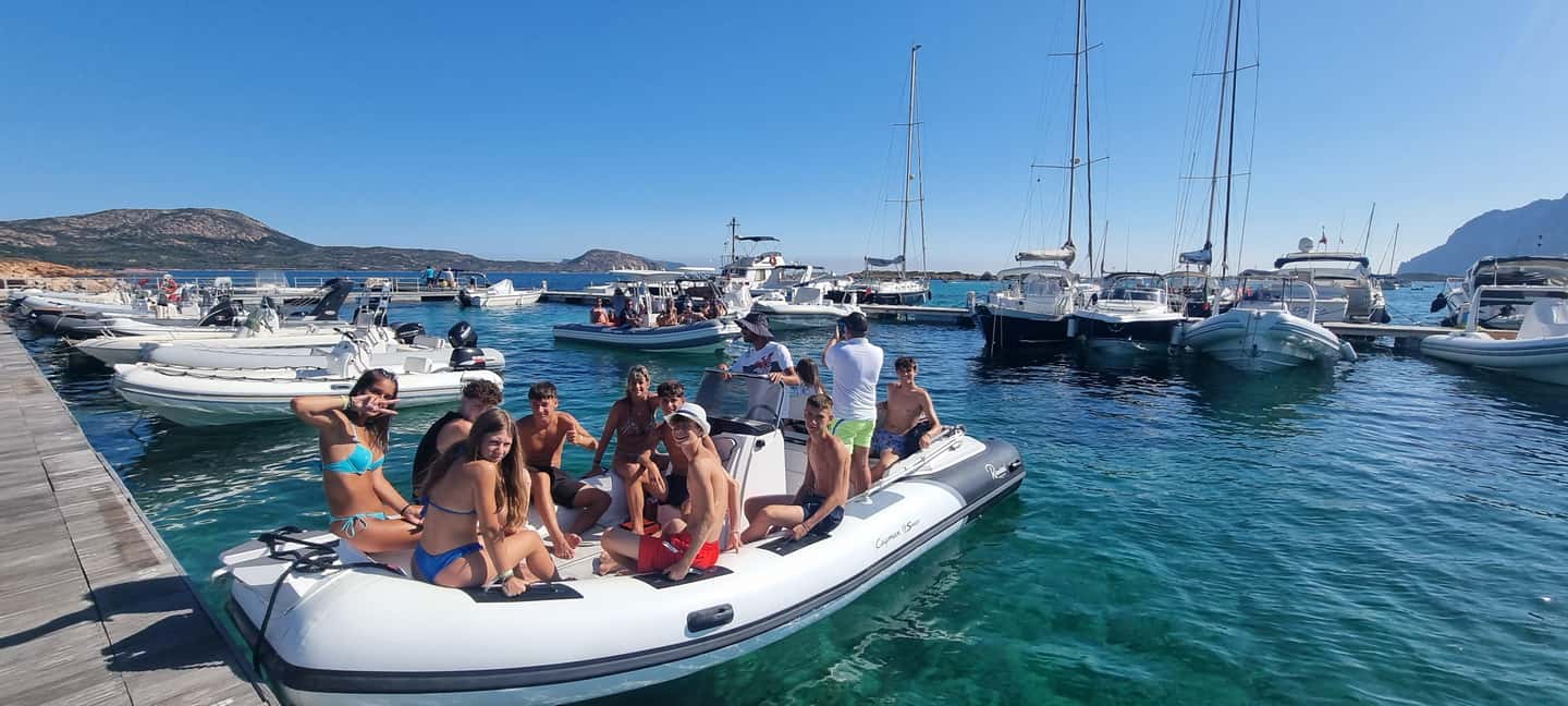 Olbia: Dolphin Watching & Swim and snorkel in Capo Figari - The speedboat and cruising time: the part that sets expectations