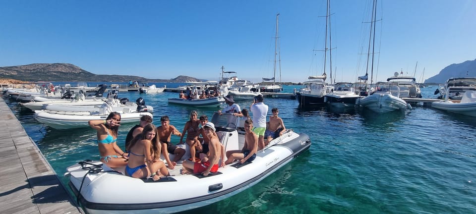 Olbia: Dolphin Watching & Swim and snorkel in Capo Figari - Stop 4: snorkeling and marine life viewing around the swim break