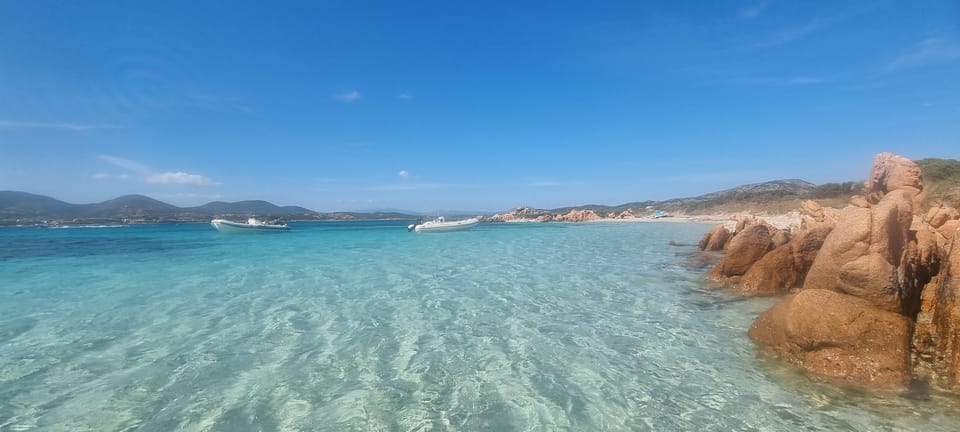 Olbia: Dolphin Watching & Swim and snorkel in Capo Figari - Price and value: is $79.30 a good deal for what you get?