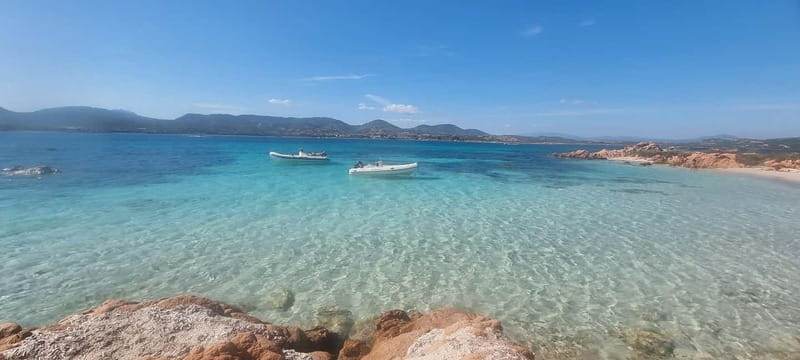 Olbia: Dolphin Watching & Swim and snorkel in Capo Figari - The MOYS marina meetup: what to do before you go
