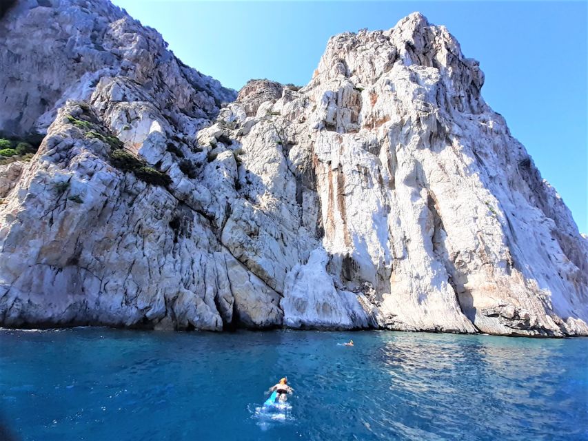 Olbia: Dolphin Watching Tour with Figarolo Island Snorkeling - Should you book Olbia Dolphin Watching with Figarolo Island Snorkeling?