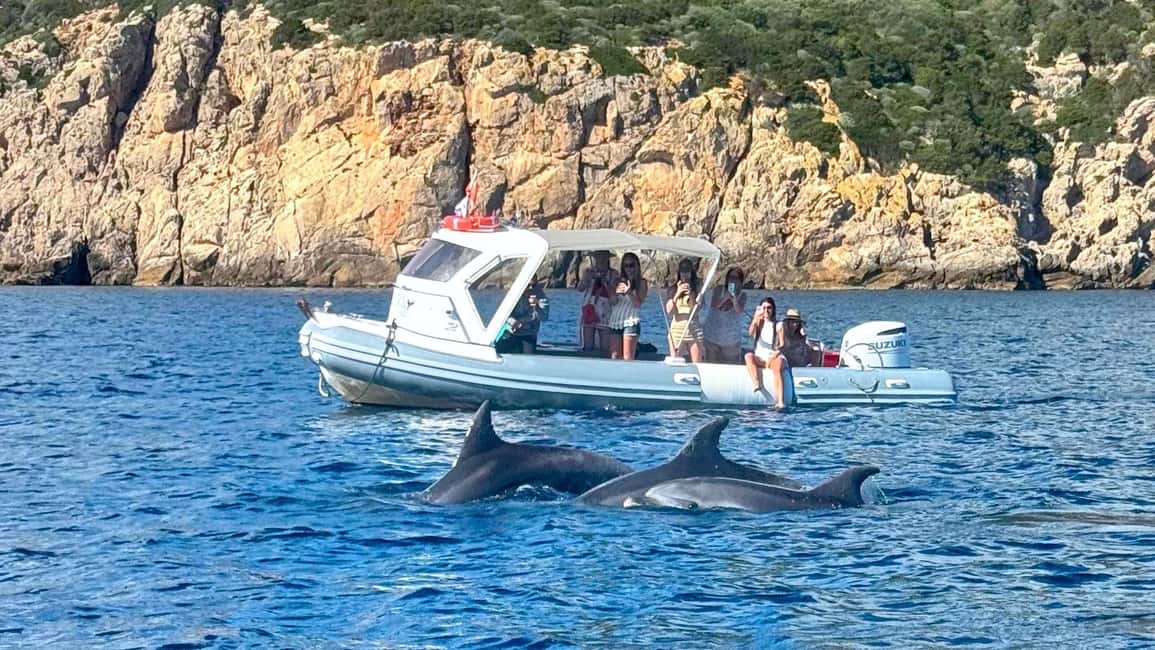Olbia: Dolphin Watching Tour with Figarolo Island Snorkeling - How the Olbia dolphin-and-snorkel tour fits together