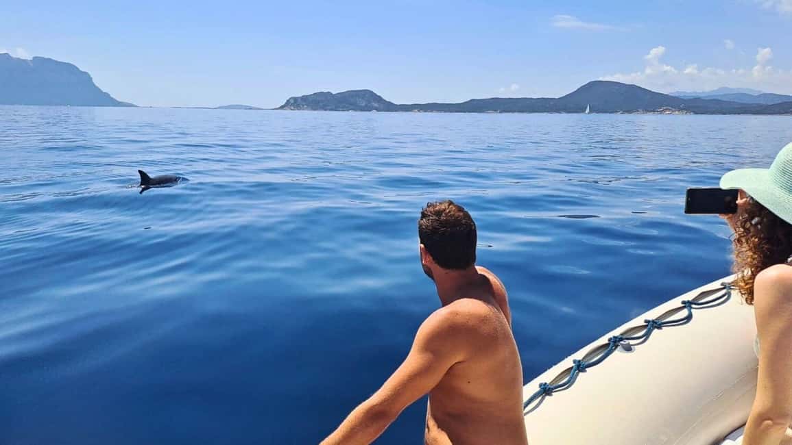 Olbia: Dolphin Watching Tour with Figarolo Island Snorkeling - Figarolo Island dolphin watching: the part you really came for
