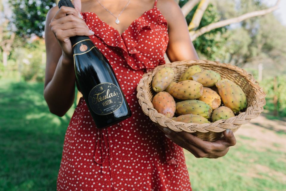 Olbia: Gallura Winery Guided Tour with Tasting - Key things to know before you go