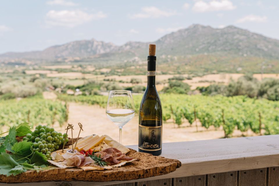 Olbia: Gallura Winery Guided Tour with Tasting - Vineyard walk: what you learn as you stroll between the vines