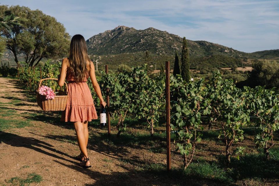 Olbia: Gallura Winery Guided Tour with Tasting - Inside the winery and barrel cellar: where the process becomes real