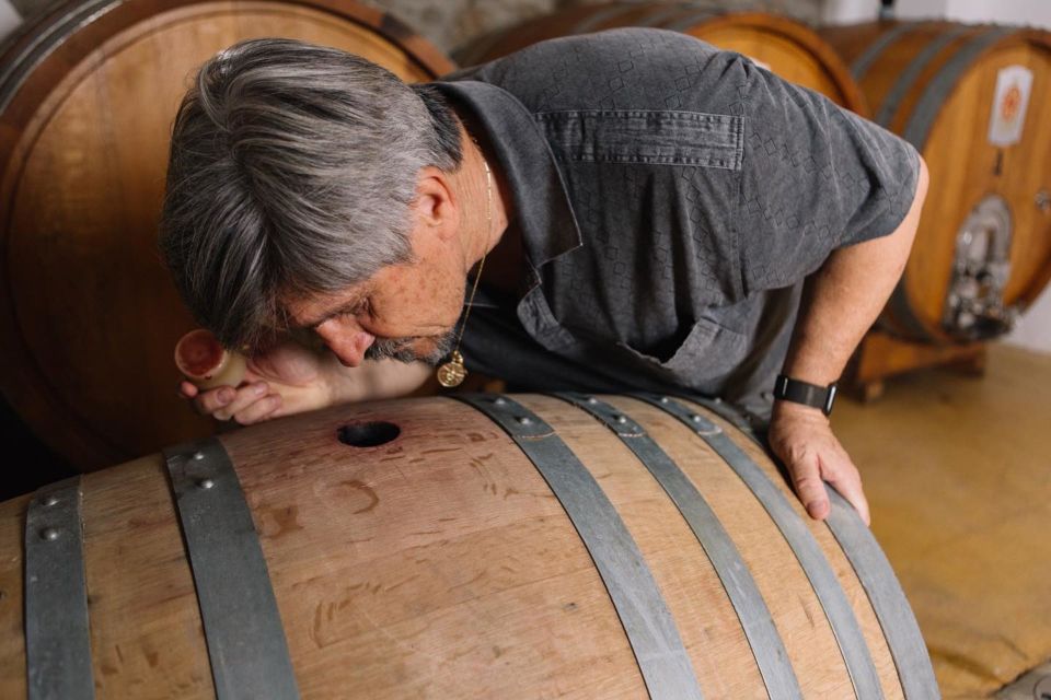 Olbia: Gallura Winery Guided Tour with Tasting - The tasting table: 3 wines, snack pairings, and the Sardinia vibe