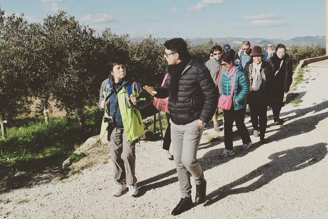 Olive Oil Experience - Key things I’d mark on your map