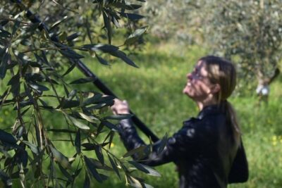 Olive Oil Experience - Inside the 1968 country house: tools, atmosphere, and what comes next