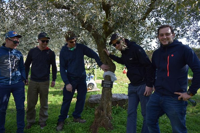 Olive Oil Experience - The Sicilian lunch: starters, busiate pasta, and oil that shows up in real food