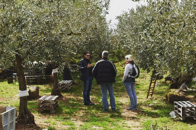 Olive Oil Experience - What the included snacks and wine mean for your money’s worth
