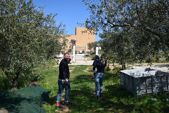 Olive Oil Experience - Who this olive oil experience fits best