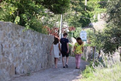 Olive oil tasting in Sorrento - The grove walk: centuries-old olives and a real sense of place