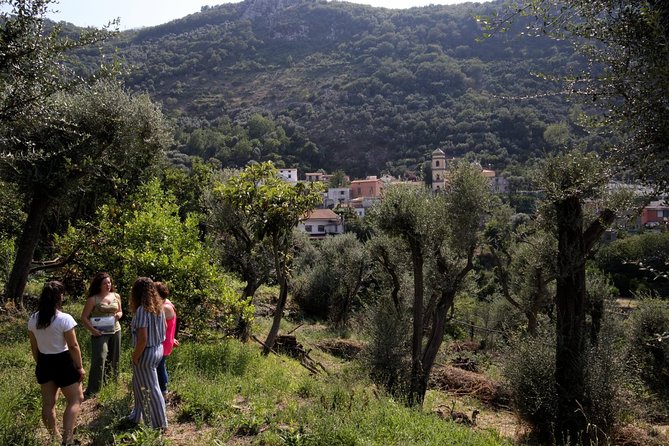 Olive oil tasting in Sorrento - The shop time: how to shop without getting swept up