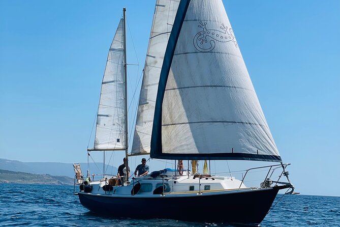 One day excursion on a sailing boat in the Gulf of Alghero - Key points before you go