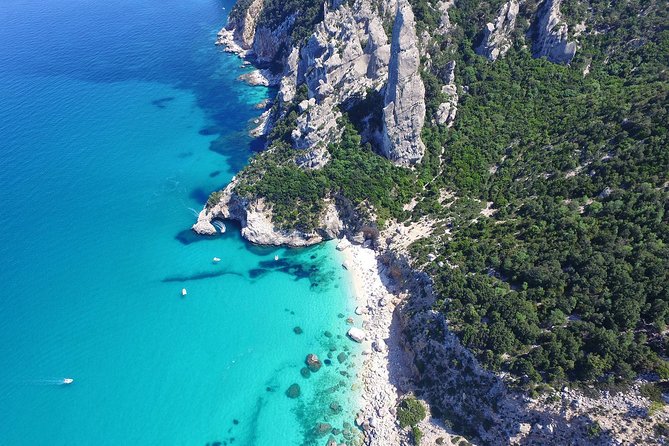 One day guided boat tour along the Baunei coast. - Key takeaways before you go