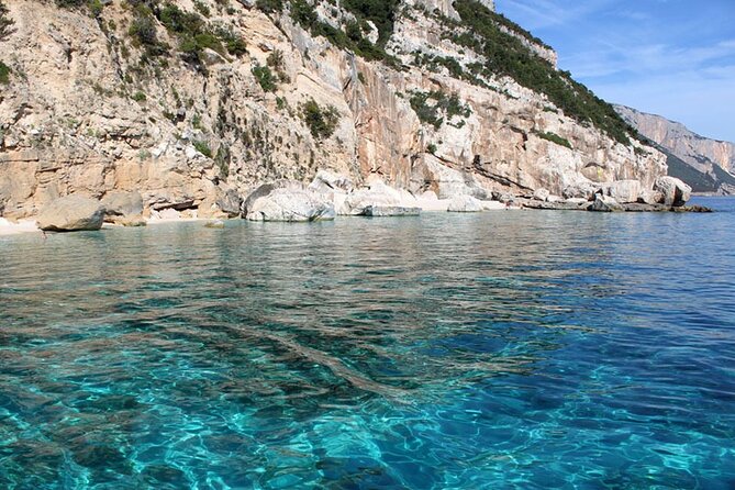 One day tour in rubber dinghy in the Gulf of Orosei with Skipper - Grotta del Fico (or Cala Biriola): choosing your own pace
