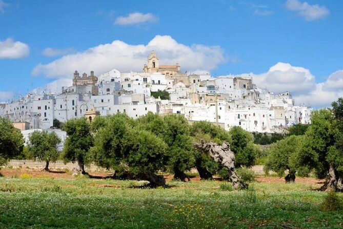 Ostuni, Alberobello and Polignano a Mare. Departing from Lecce - The Locorotondo View Break: A Balcony Over the Itria Valley