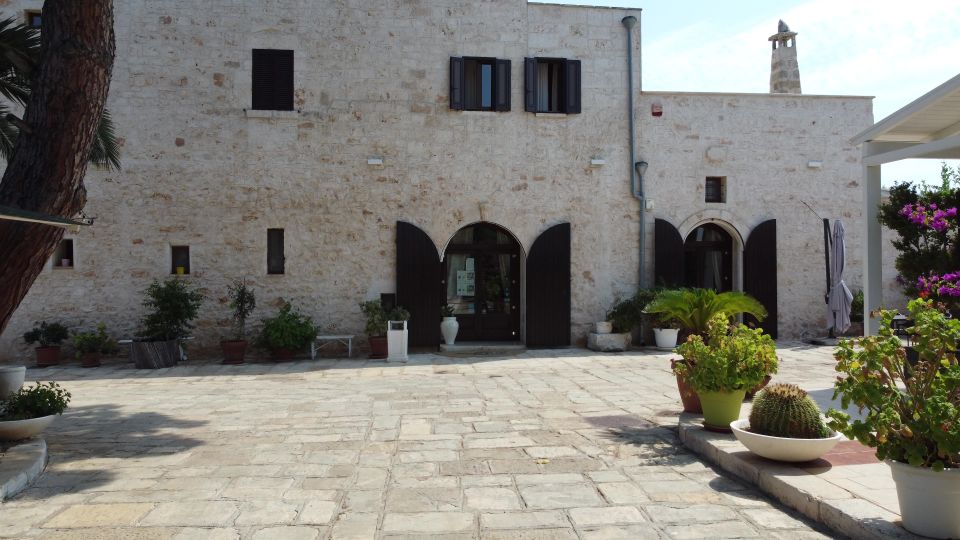 Ostuni: Olive Oil Tasting Tour - Pairings that actually teach: olives, tarallini, and fried broad beans