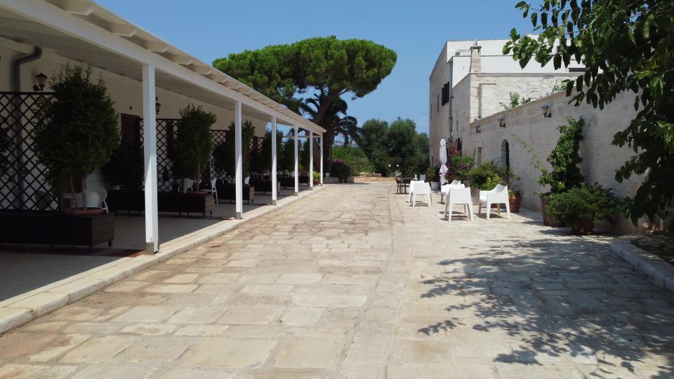Ostuni: Olive Oil Tasting Tour - Pace, duration, and what fits in your day