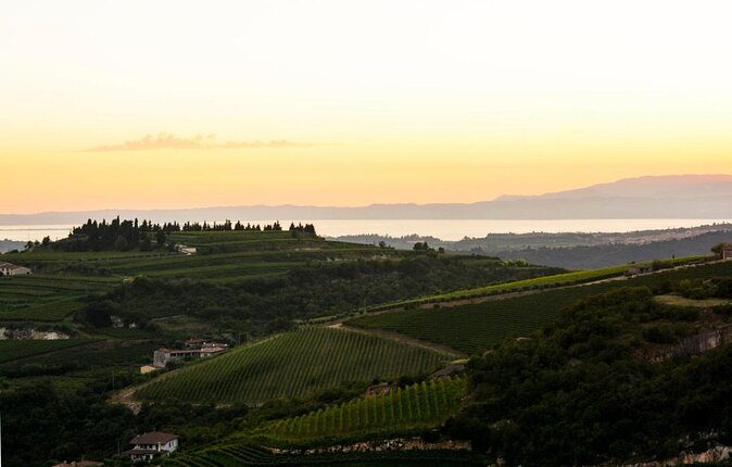 Pagus Wine Tours® - A taste of Amarone - Half day wine tour - Key things that make this half-day Amarone tour work