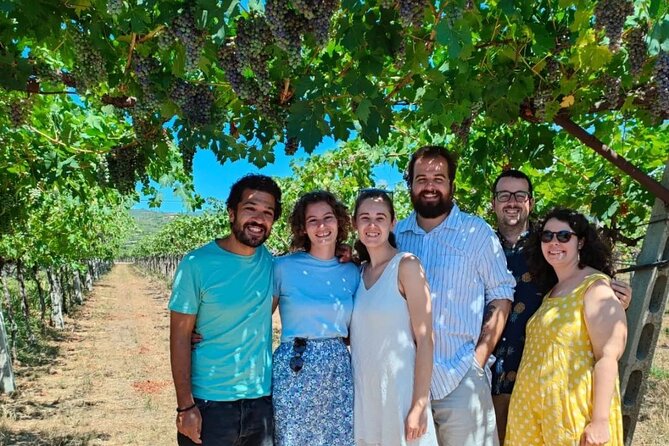 Pagus Wine Tours® - A taste of Amarone - Half day wine tour - San Giorgio di Valpolicella hamlet: Roman ground, Romanesque charm