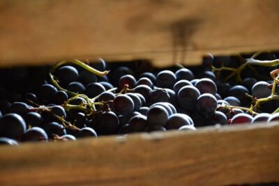 Pagus Wine Tours® - A taste of Amarone - Half day wine tour - The 2:00 pm meeting at Pagus Wine Tours: start with cellar-priced shopping
