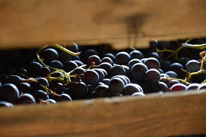 Pagus Wine Tours® - A taste of Amarone - Half day wine tour - The 2:00 pm meeting at Pagus Wine Tours: start with cellar-priced shopping