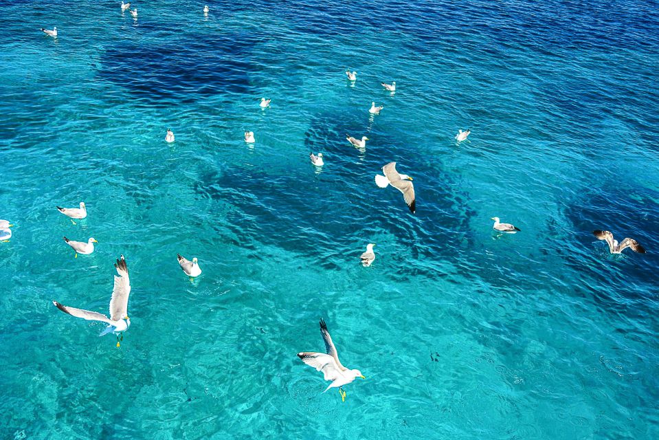 Palau: La Maddalena Archipelago and Caprera Island Boat Tour - Caprera’s Cala Coticcio (Tahiti) and Spargi’s Cala Corsara: the swims that sell the day