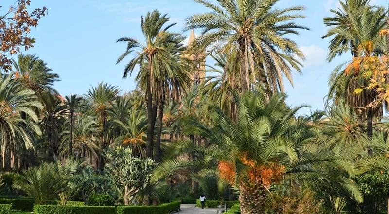 Palermo: Art and Architecture Walking Tour - Skip-the-line Palermo Cathedral and Cappella Palatina