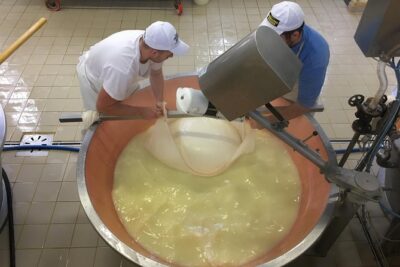 Parma Food Valley Gourmet Private Tour Easy - Salumificio Conti: Prosciutto di Parma and the Hills-Wind Story