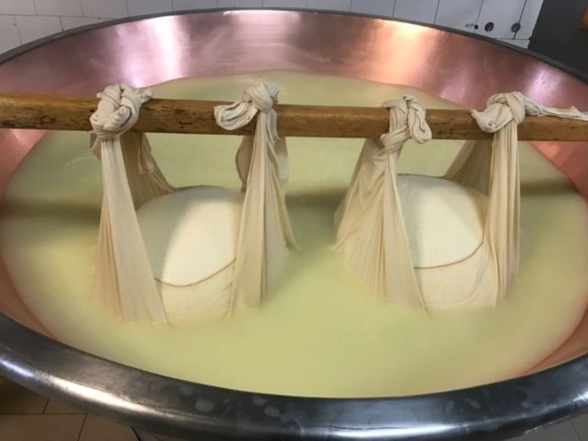 Parma: Parmigiano Production and Parma Ham Tour & Tasting - Price and value: what $126.88 includes and why it adds up