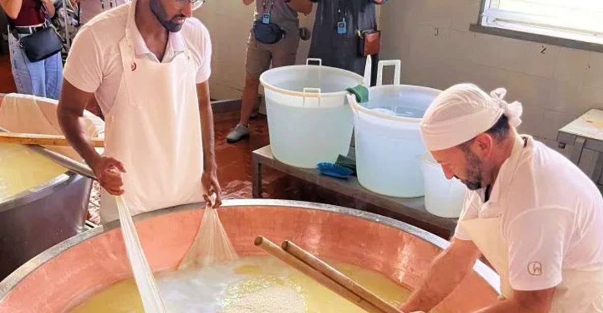 Parma: Traditional Cheese Factory Visit with Tasting - Key Highlights You’ll Care About
