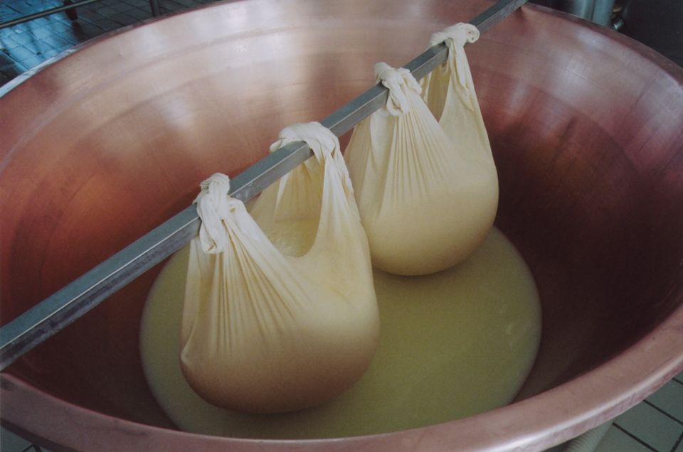 Parma: Traditional Cheese Factory Visit with Tasting - Shaping, Salting, and Why Wheels Need Patience