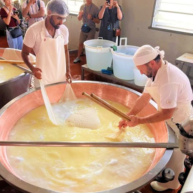 Parma: Traditional Cheese Factory Visit with Tasting - Your Guide in Action: Clear Teaching, Real Energy, Local Humor