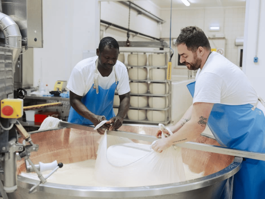 Parmesan Cheese Factory Tour & Tasting near Parma - A short video lesson that keeps your tasting from feeling random