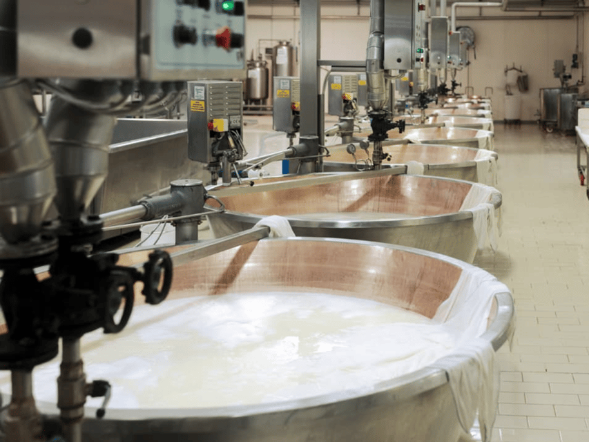 Parmesan Cheese Factory Tour & Tasting near Parma - The tasting: 15, 24, 36 months with wine and Parmigiano cream