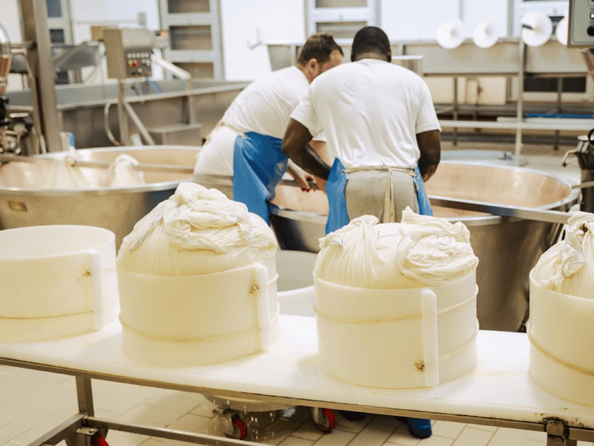 Parmesan Cheese Factory Tour & Tasting near Parma - Price and logistics: value, timing, and how to plan the day