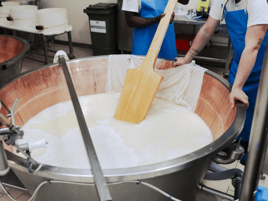 Parmesan Cheese Factory Tour & Tasting near Parma - Production rooms: curdling and shaping the Parmigiano wheels
