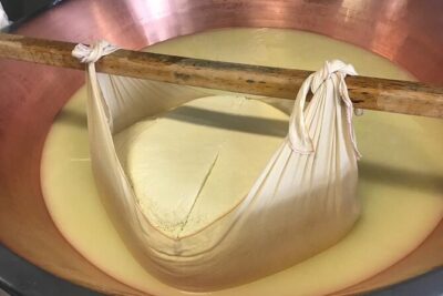 Parmigiano Cheese, Parma Ham and Balsamic - Parmigiano Reggiano: Seeing How Milk Becomes an Aged Wheel