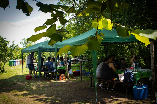 Picnic Area with Barbecue Equipment in Capranica (VT) - The picnic station: barbecue setup, tables, and comfort